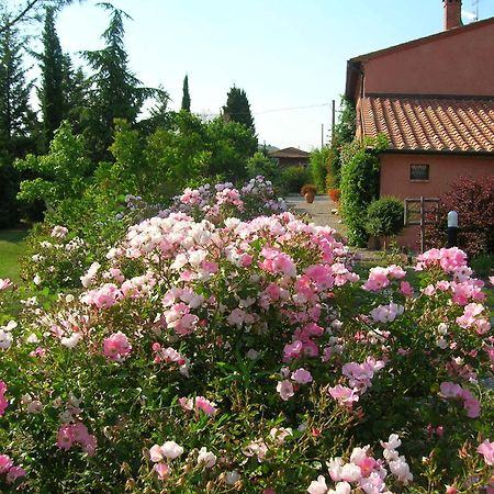 Sant'Alberto Campiglia dʼOrcia Buitenkant foto