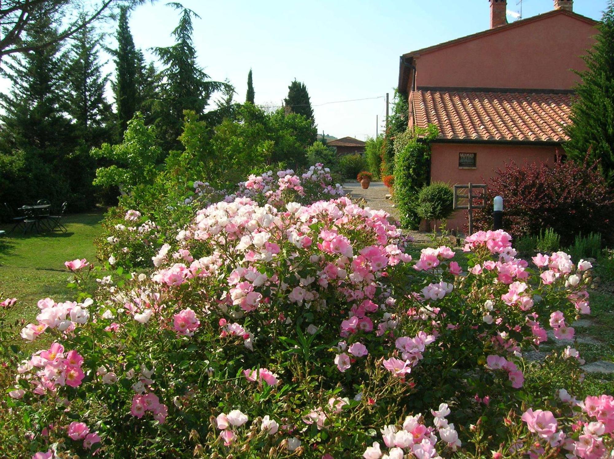 Sant'Alberto Campiglia dʼOrcia Buitenkant foto